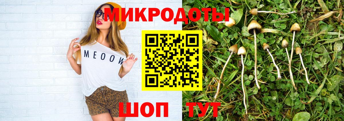 Галлюциногенные грибы MAGIC MUSHROOMS  Вход с VPN  Горно-Алтайск 