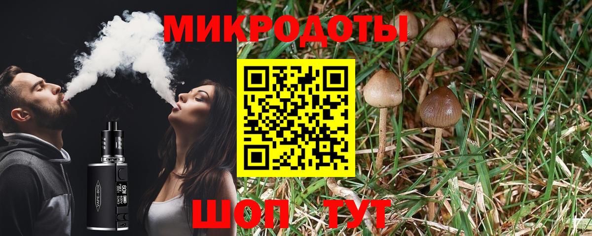Псилоцибиновые грибы ЛСД Горно-Алтайск
